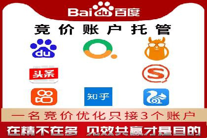 SEM运营公司案例解析：精准广告投放技巧